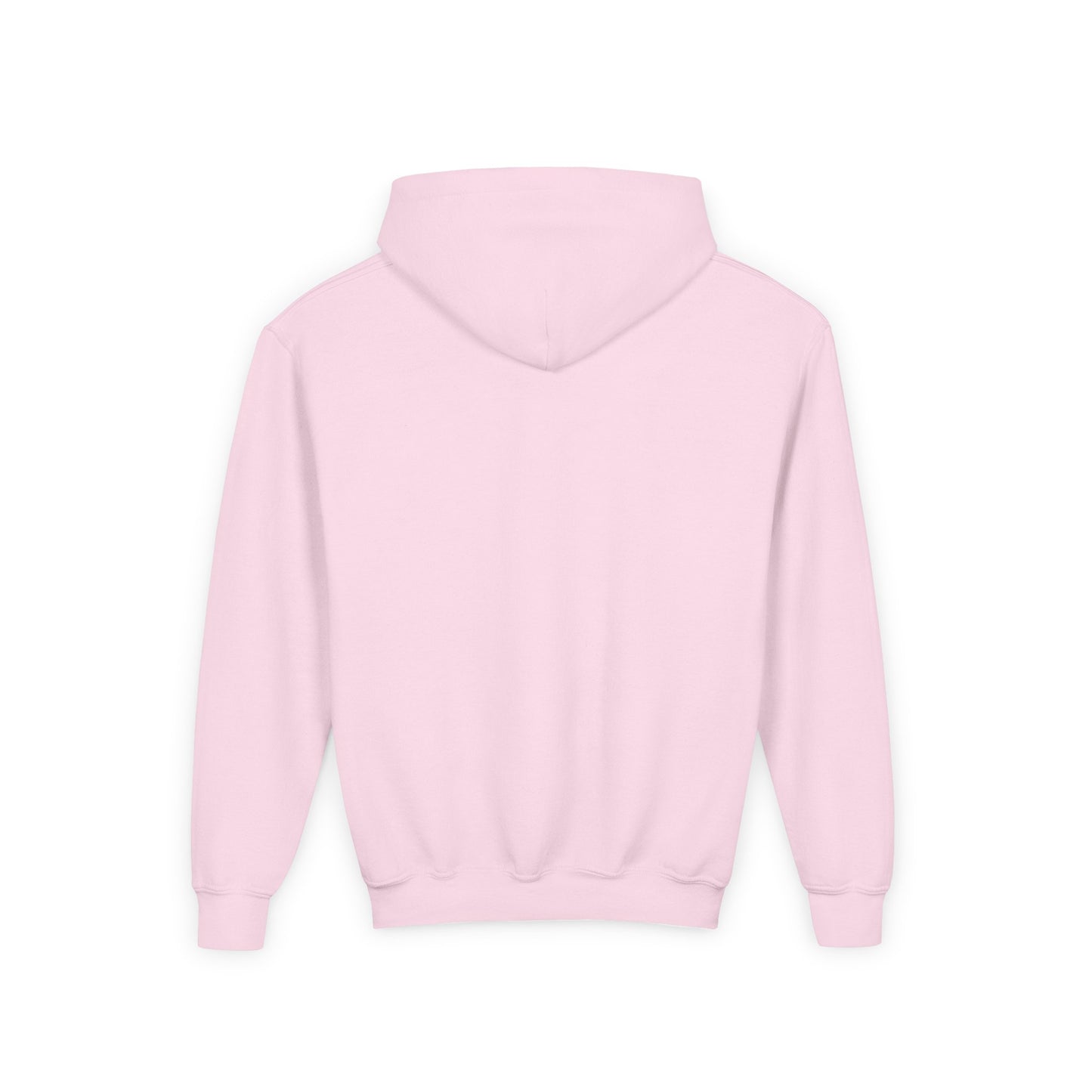 STOLEN! Youth Heavy Blend Hooded Sweatshirt