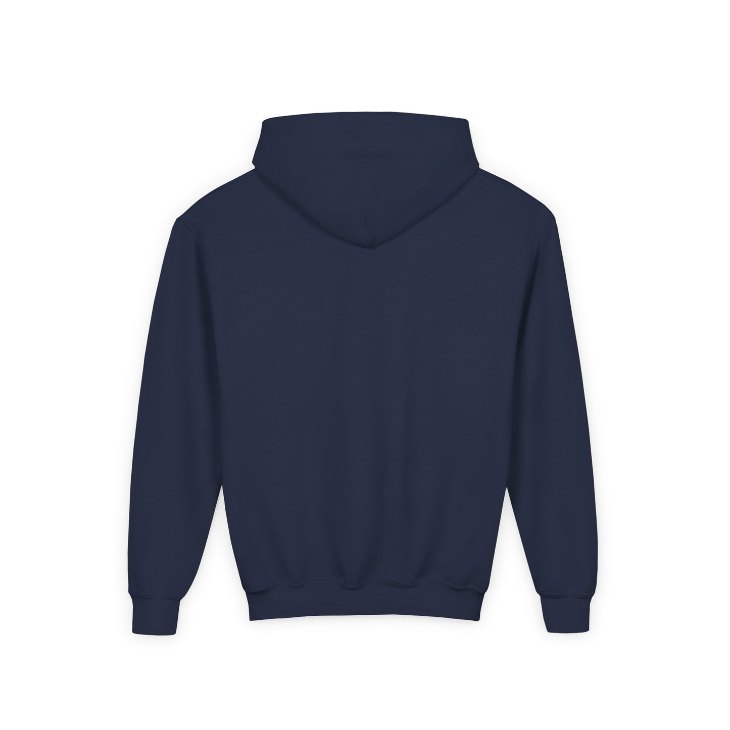 STOLEN! Youth Heavy Blend Hooded Sweatshirt