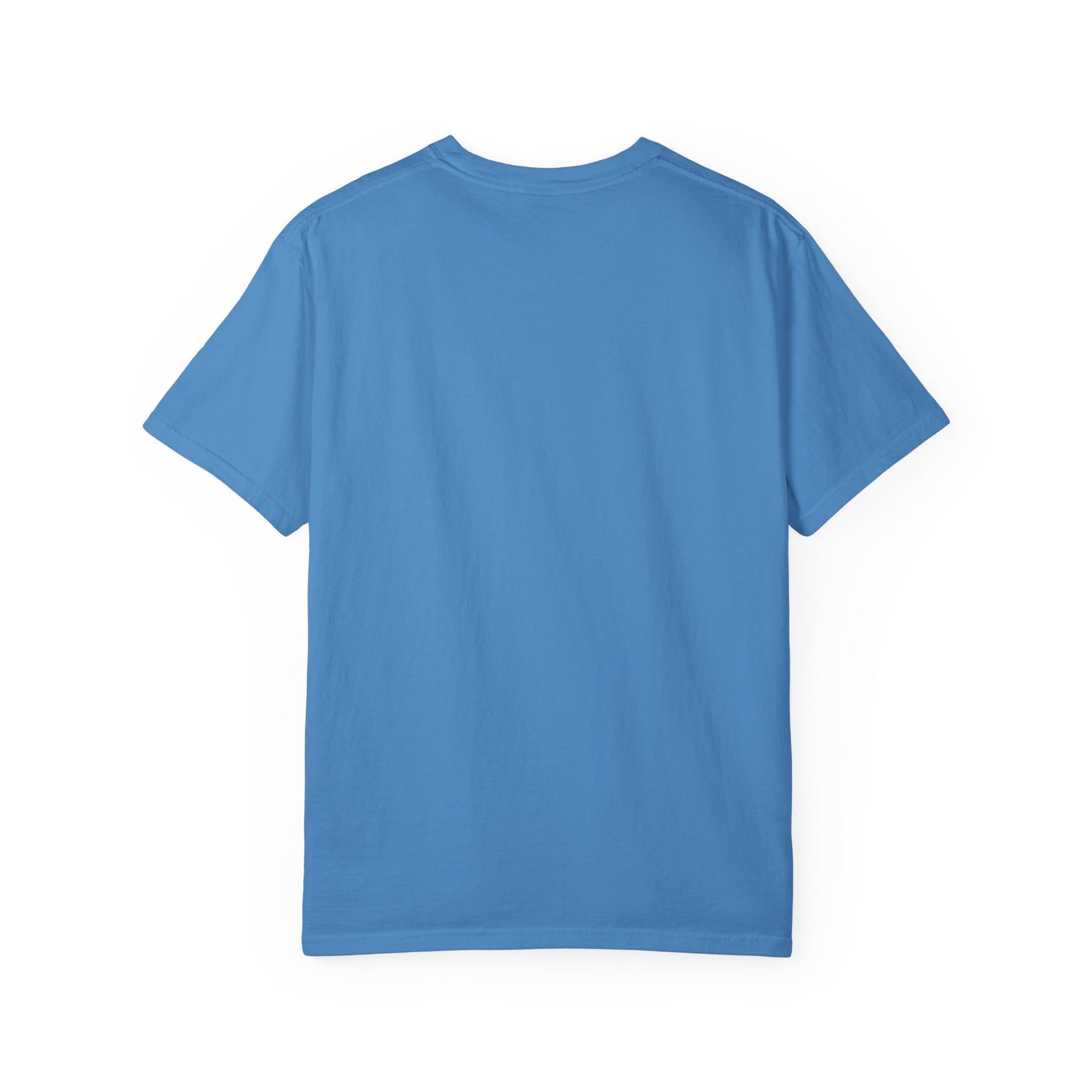 BORROWED! Unisex Garment-Dyed T-shirt