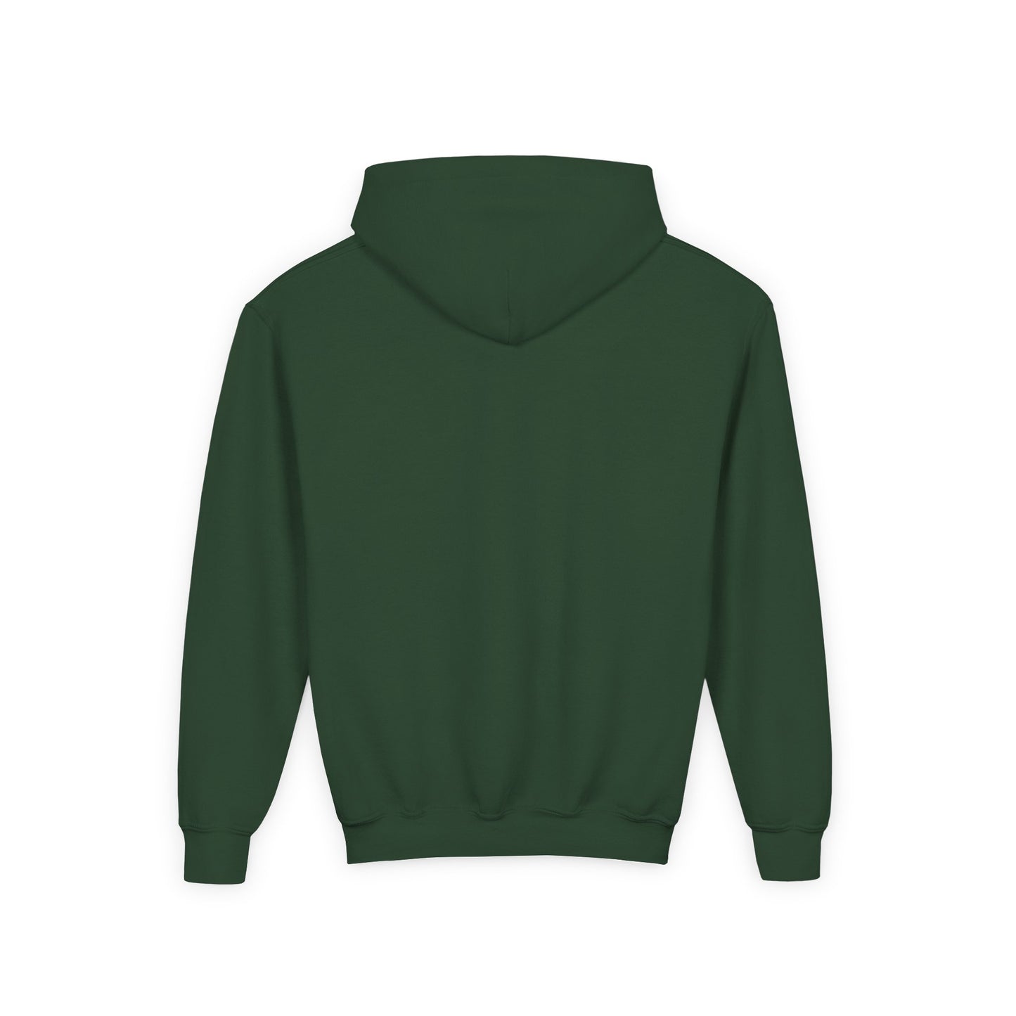 STOLEN! Youth Heavy Blend Hooded Sweatshirt