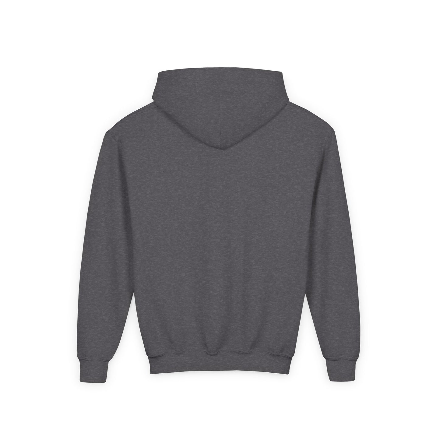 STOLEN! Youth Heavy Blend Hooded Sweatshirt