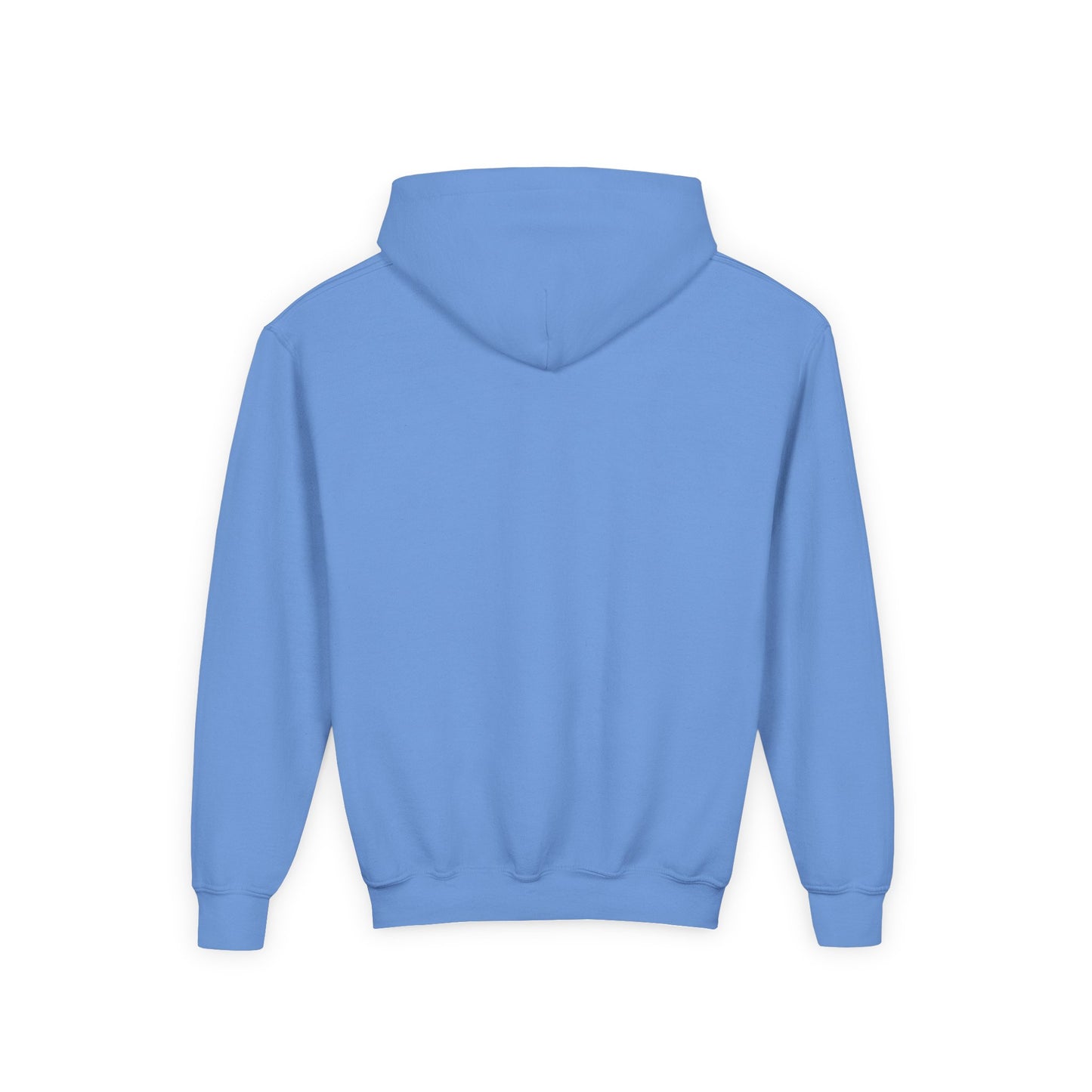 STOLEN! Youth Heavy Blend Hooded Sweatshirt