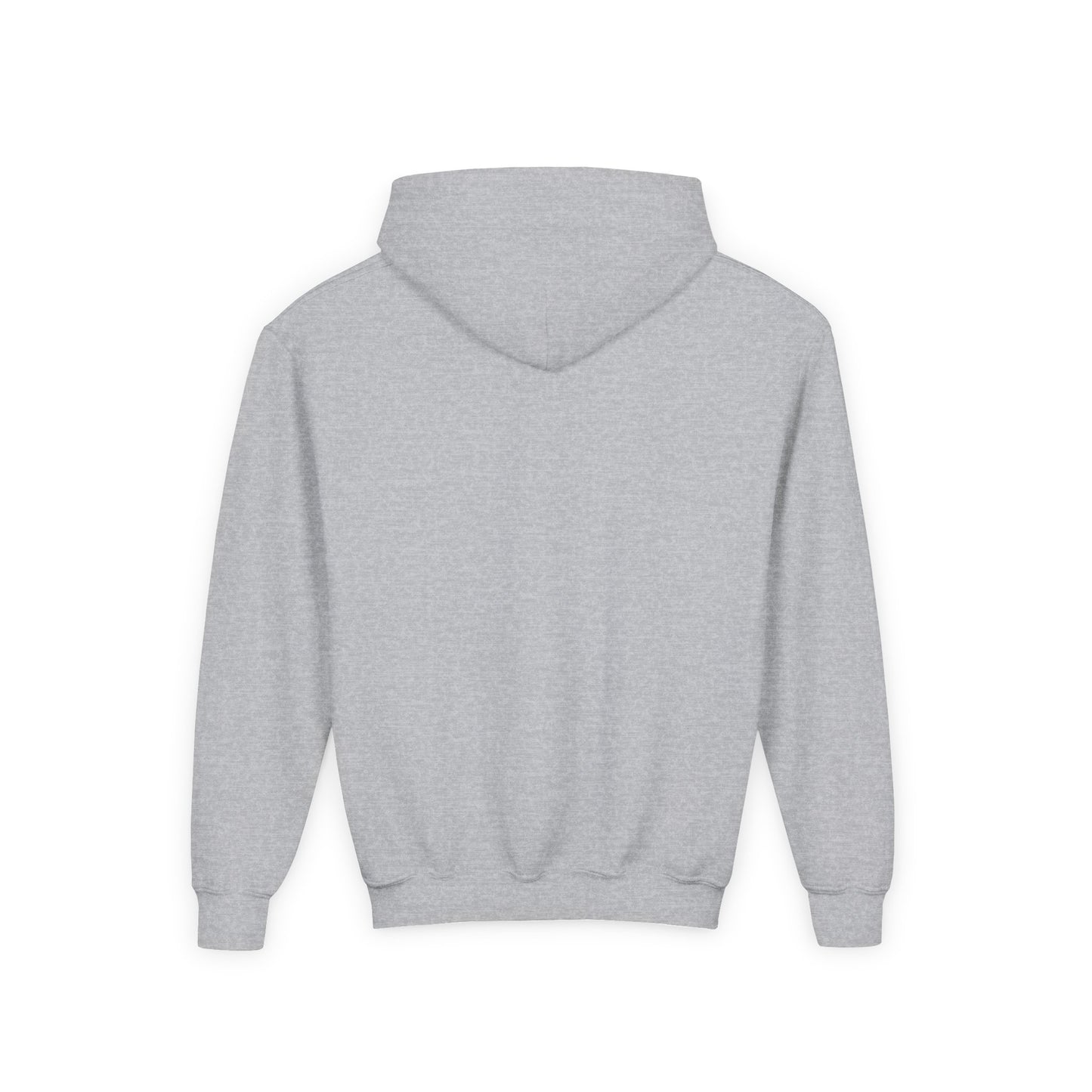 STOLEN! Youth Heavy Blend Hooded Sweatshirt