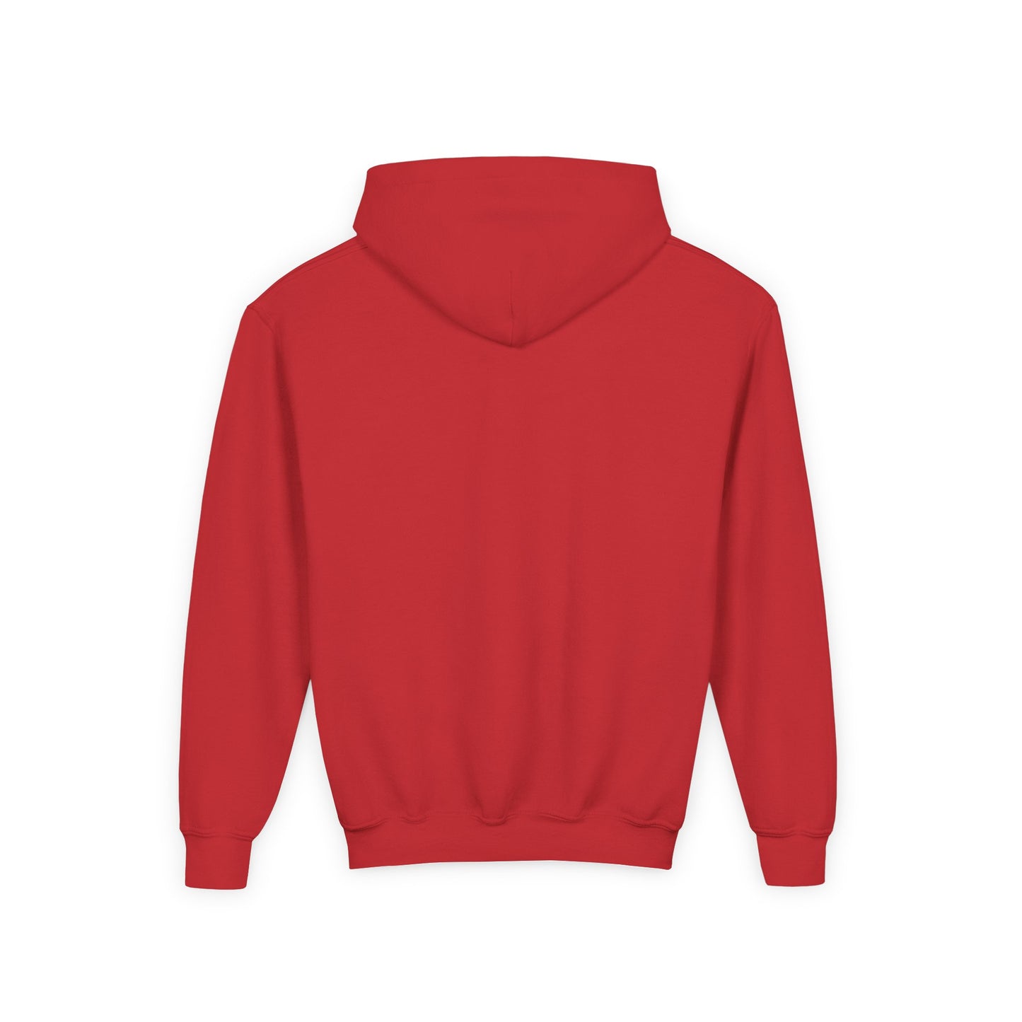 STOLEN! Youth Heavy Blend Hooded Sweatshirt