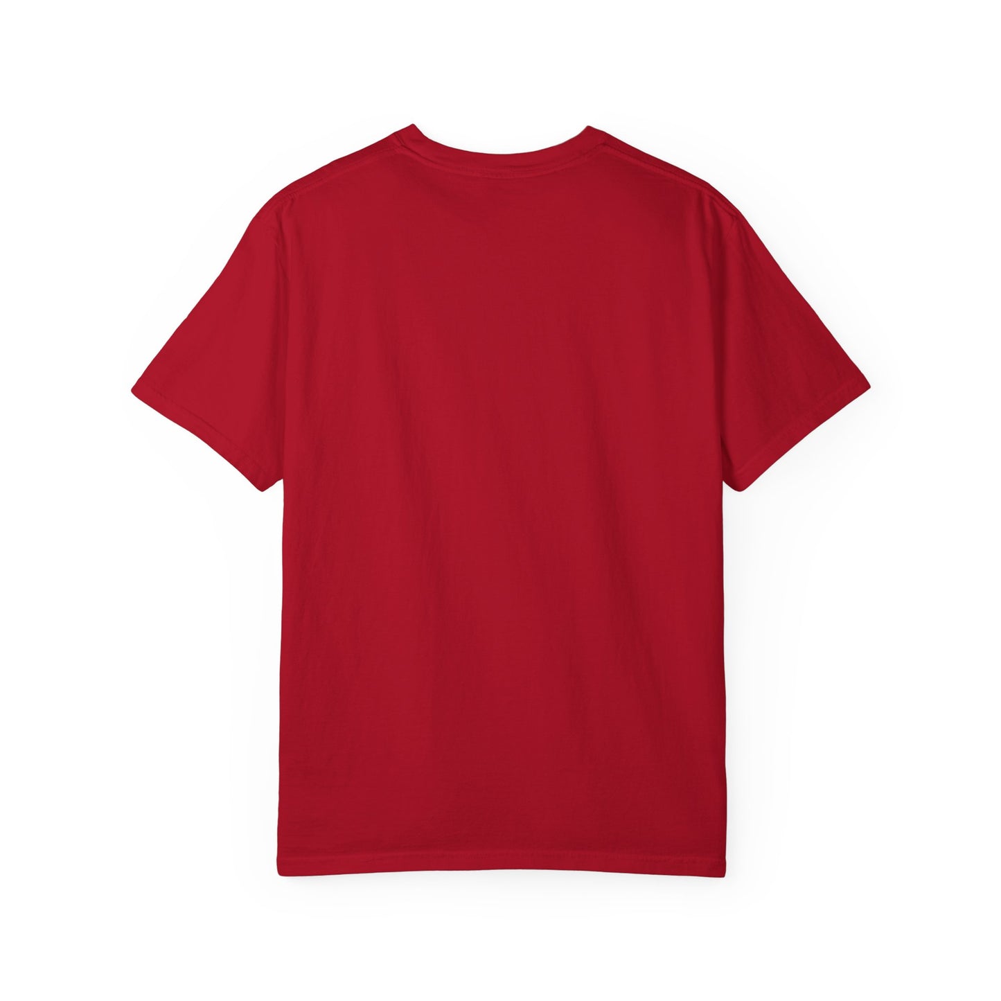BORROWED! Unisex Garment-Dyed T-shirt
