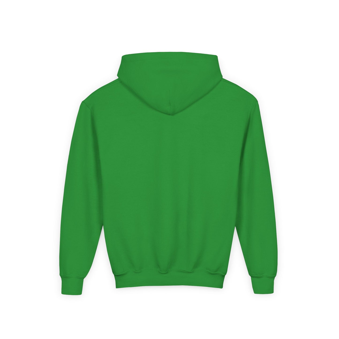 STOLEN! Youth Heavy Blend Hooded Sweatshirt