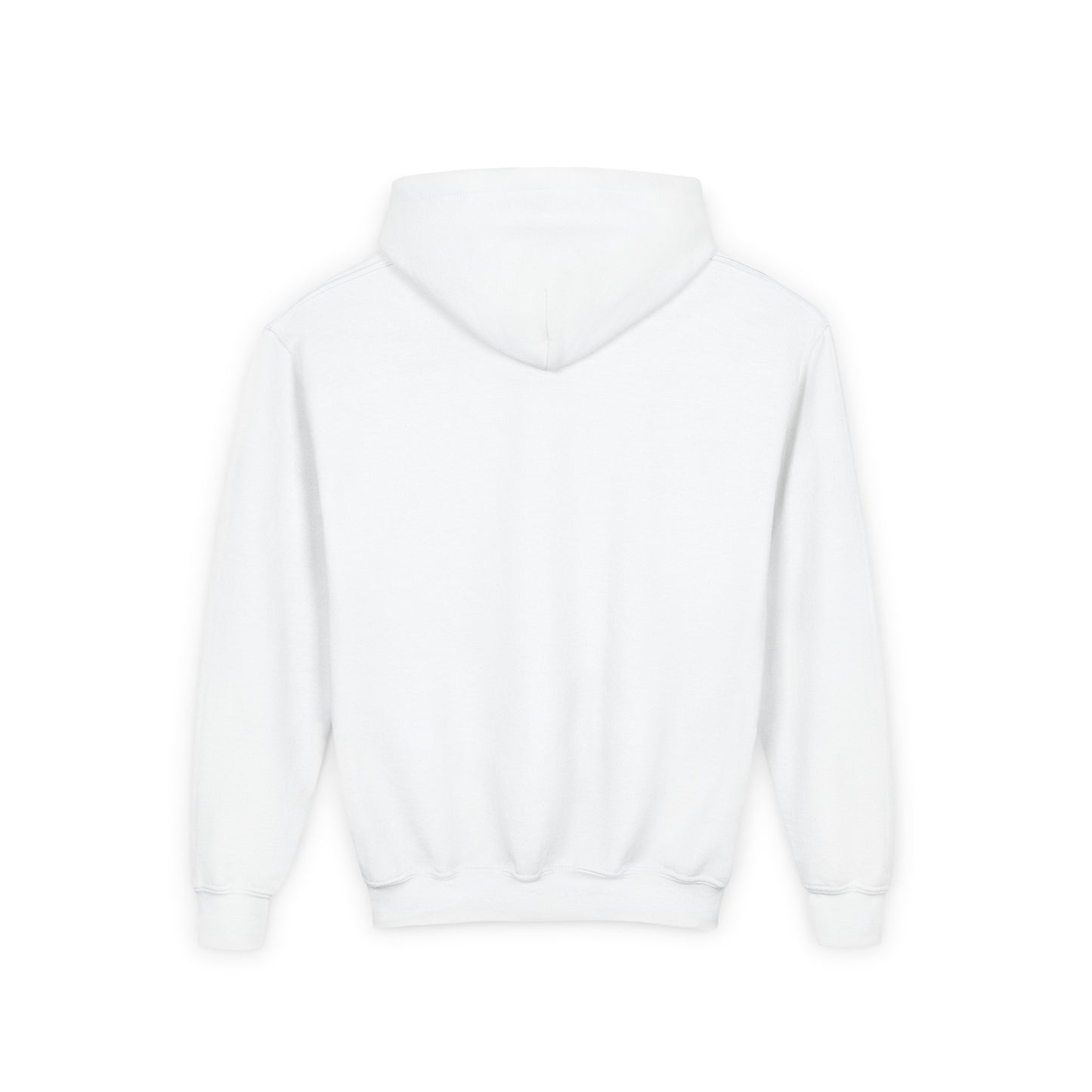 STOLEN! Youth Heavy Blend Hooded Sweatshirt
