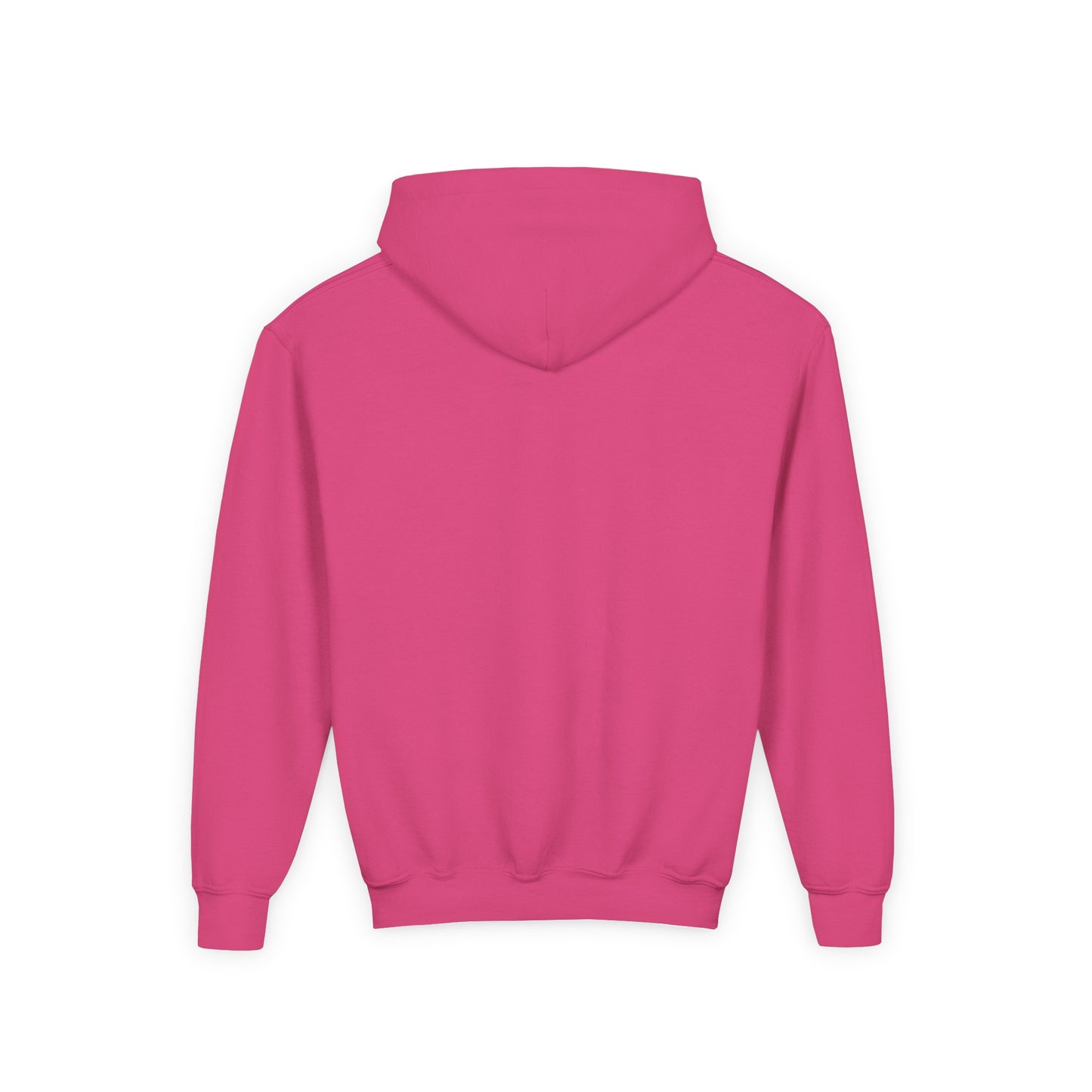 STOLEN! Youth Heavy Blend Hooded Sweatshirt