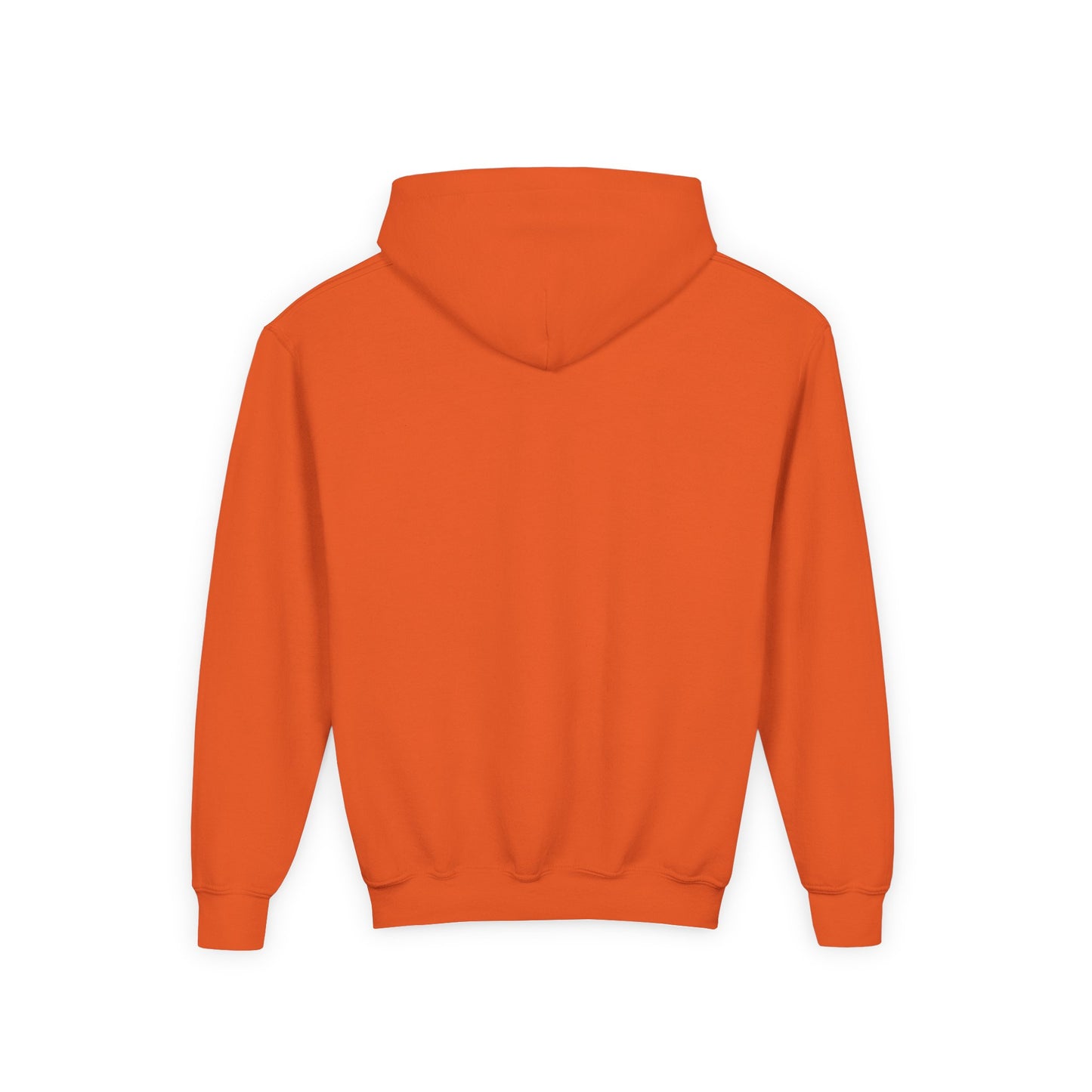 STOLEN! Youth Heavy Blend Hooded Sweatshirt