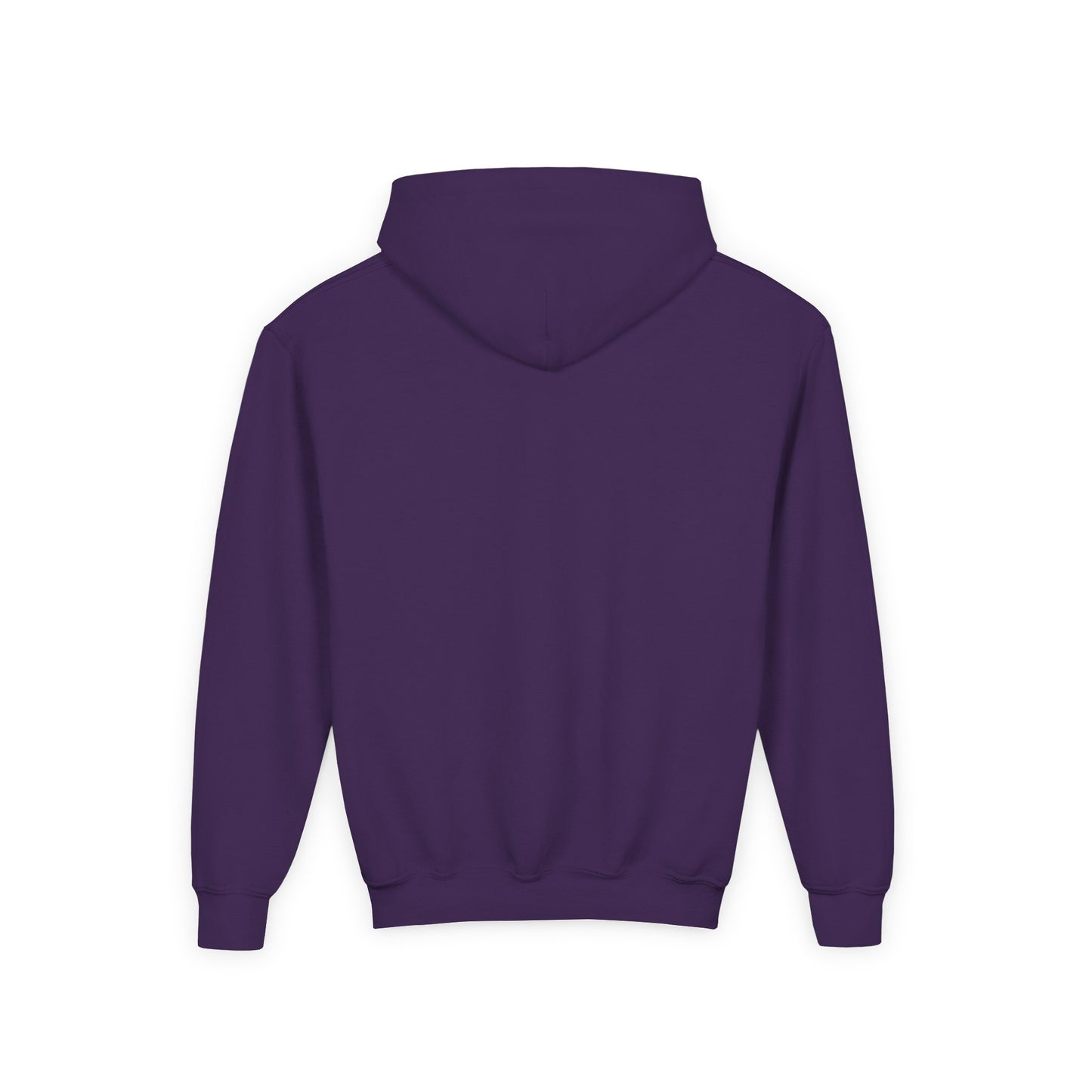 STOLEN! Youth Heavy Blend Hooded Sweatshirt
