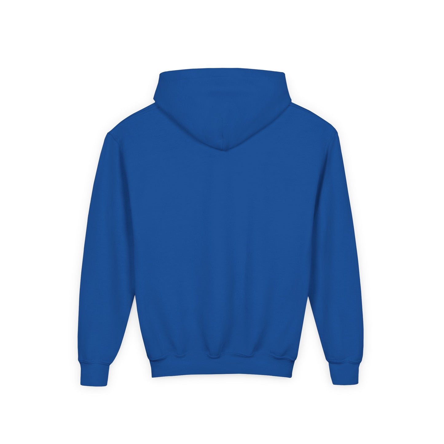 STOLEN! Youth Heavy Blend Hooded Sweatshirt