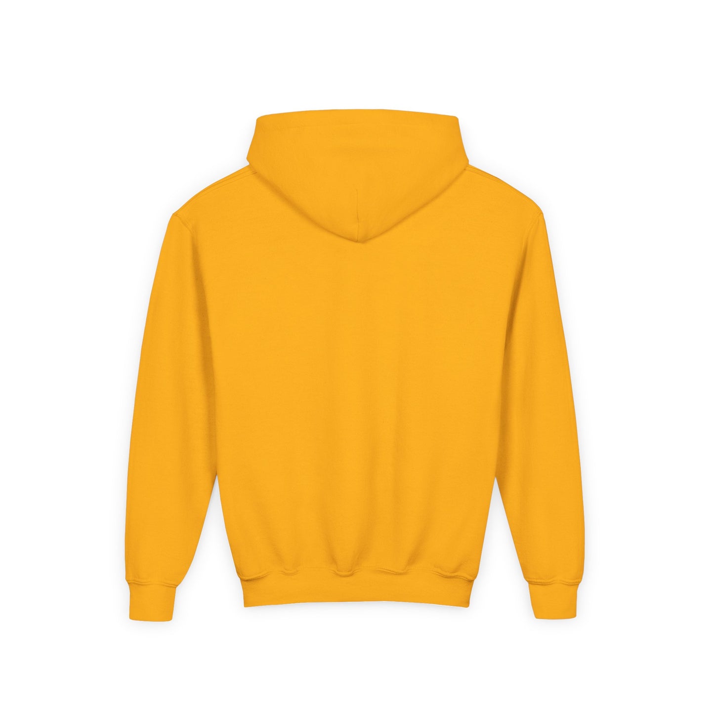 STOLEN! Youth Heavy Blend Hooded Sweatshirt